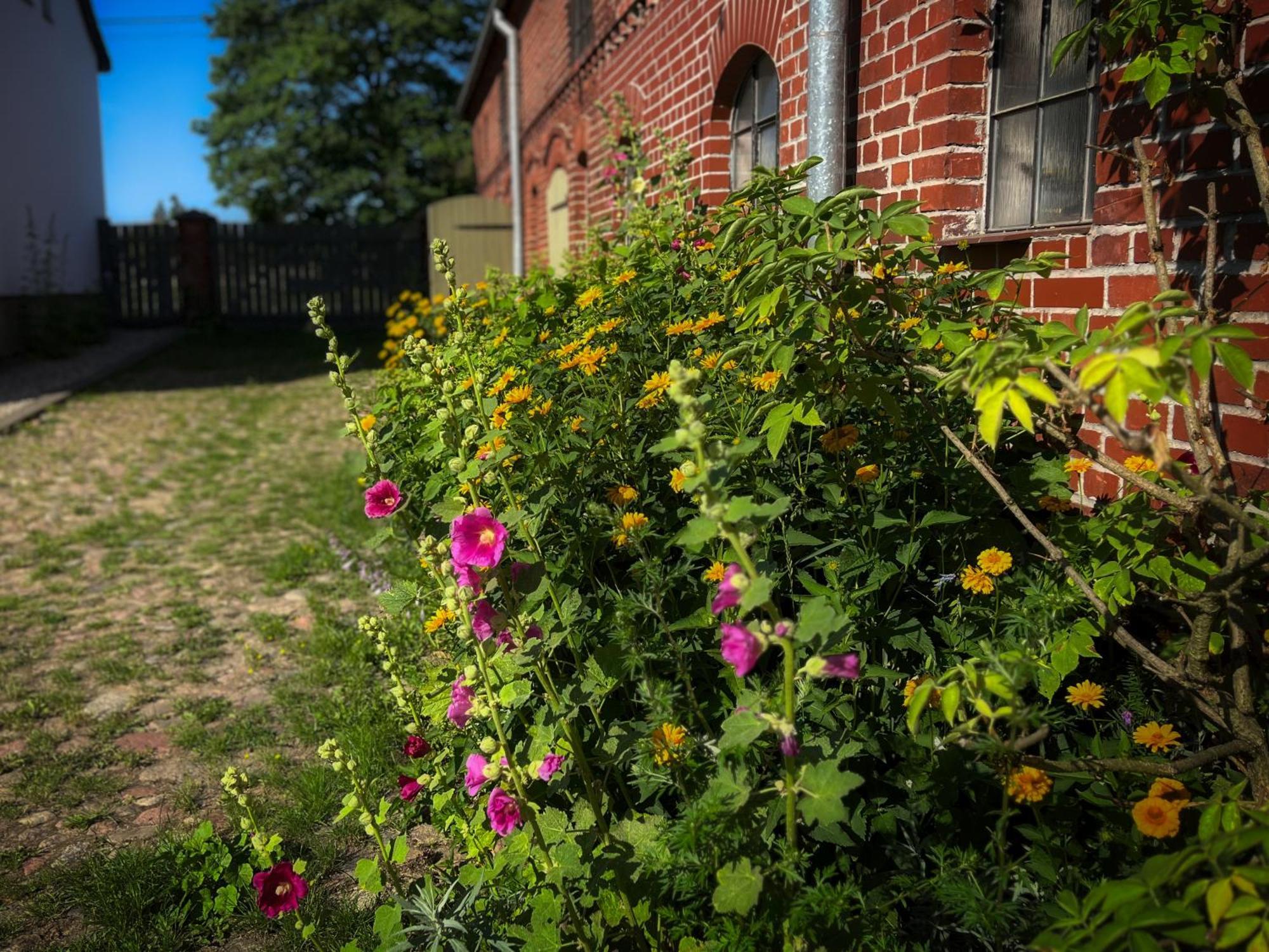 Farma Jamienko Guest House Exterior photo